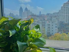 -上海市普陀区中心医院