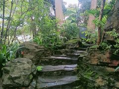 -水濂山森林公园