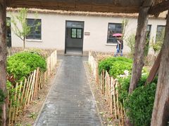 -盐城丹顶鹤湿地生态旅游区