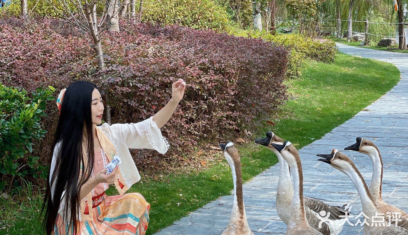 小长假绿色出行指南！野餐、遛娃、拍照📷好去处！[亲亲]
