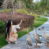 小长假绿色出行指南！野餐、遛娃、拍照📷好去处！[亲亲]