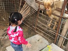 -小鱼草莓采摘园农家乐·小鱼餐厅