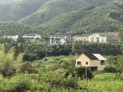 -莫干山风景区