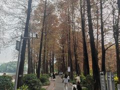 -广州蓓蕾剧院