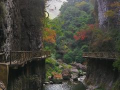 -永泰中国云顶