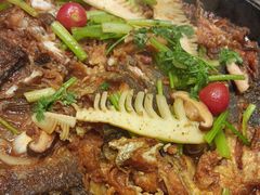 -老板恋上鱼(恒隆广场店)