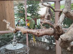 -南宫五洲植物乐园