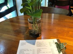 -又鸟pizza海南鸡饭(假日广场店)