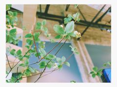 -GOTLOT COFFEE&KITCHEN角落厨房NOOK店