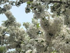 -元大都城垣遗址公园