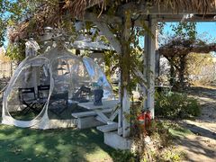 -安德鲁户外烧烤帐篷营地(马泉营店)