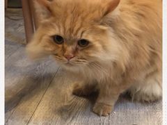 -小时光咖啡馆(北锣鼓巷店)