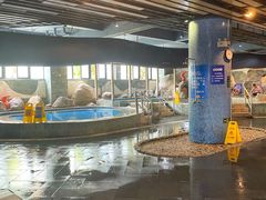 -晋爵会游泳馆(海湾公园店)