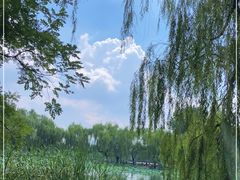 -朝阳公园
