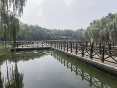 -毛遂公园