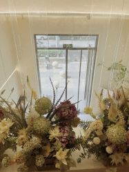 -摩睫+皮肤管理·科学美容中心