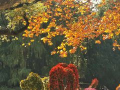 -上海共青森林公园