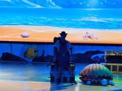 -三亚海昌梦幻海洋不夜城