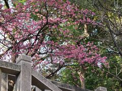 -乌山风景区