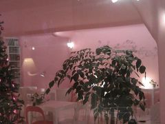 -Babycat私家御饼屋(龙头路一店)