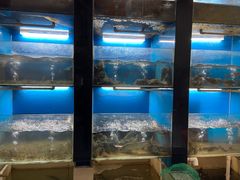 水产区-俞赵文仙饭店