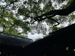 -上海醉白池公园