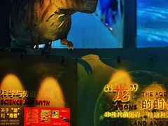 -贝林大翅鲸简餐厅(国家海洋博物馆店)