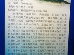 -上海海洋大学鱼文化博物馆(军工路校区)
