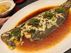 -大连君悦酒店·星海湾壹号Dalian·Dalian(星海广场店)
