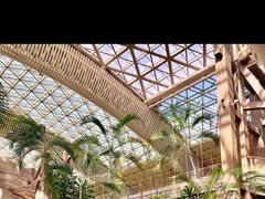 -杭州开元森泊度假乐园