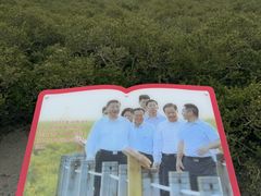 -北海金海湾红树林生态旅游区