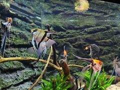 -上海海洋水族馆