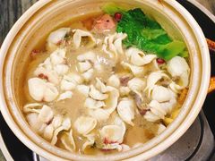 -鸽鸟轩(石岐店)