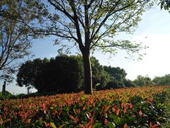-上海长江河口科技馆