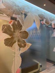 -上海首尔丽格医疗美容医院