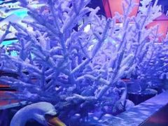 -营信刘罗锅铁锅炖(建华店)