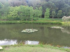 -云溪植物园