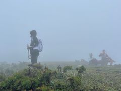 -灵山