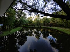 -上海共青森林公园