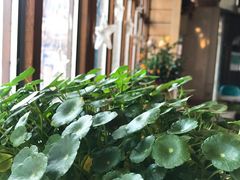 -Cafe Alice咖啡爱丽丝(奥城店)
