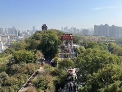 -黄鹤楼公园(黄鹤楼)