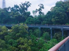 -金鸡山公园