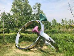 -泗洪洪泽湖湿地景区