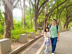 -大雁山风景区
