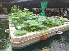 -荷香居(洞企石路店)
