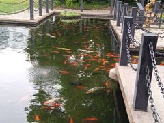 -长阳创谷