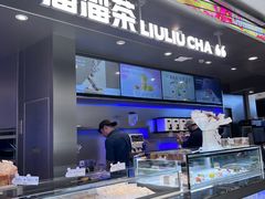 -TD66高山铁皮石斛养生茶饮