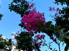 -白塘生态植物园