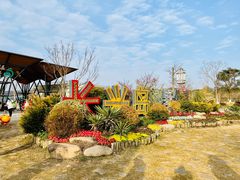 -上海长兴岛郊野公园