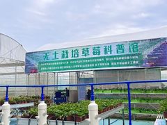 -广东花都香草世界旅游度假区